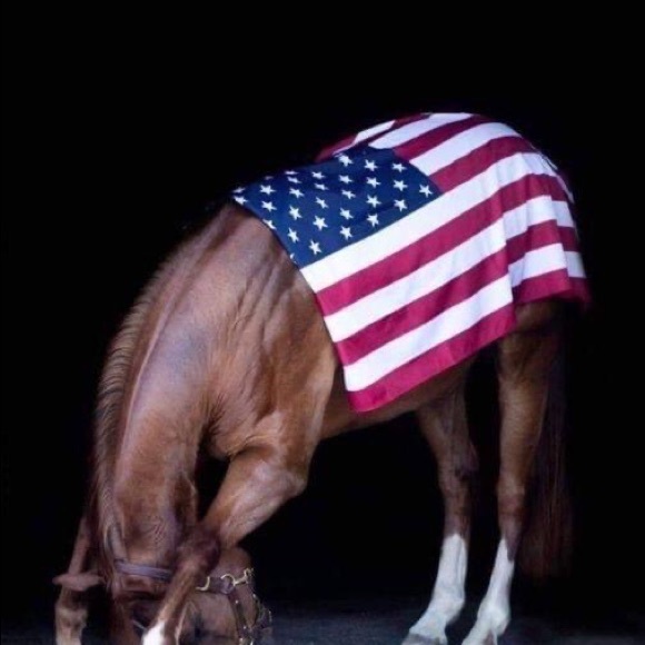 Meet your Posher, Brandon - Picture 3 of 9